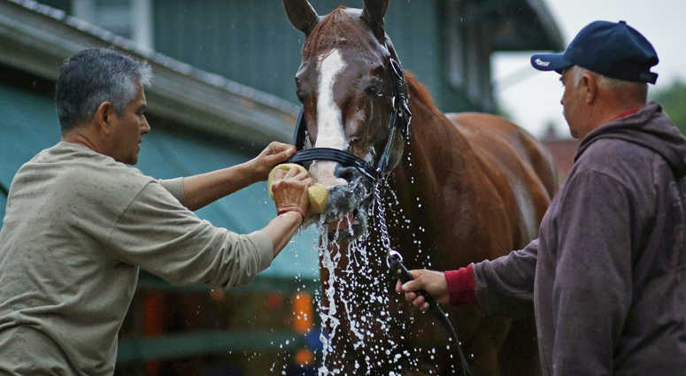 Kentucky Derby winner Justify is washed outside a barn, Friday, May 18, 2018, at Pimlico Race Course in Baltimore. The Preakness Stakes horse race is schedule for Saturday. Kentucky Derby winner Justify is washed outside a barn, Friday, May 18, 2018, at Pimlico Race Course in Baltimore. The Preakness Stakes horse race is schedule for Saturday.