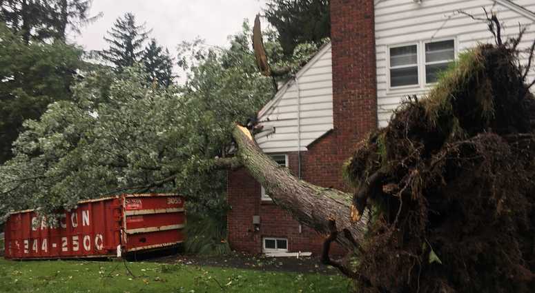 A microburst took down trees in Summit, New Jersey. A microburst took down trees in Summit, New Jersey.