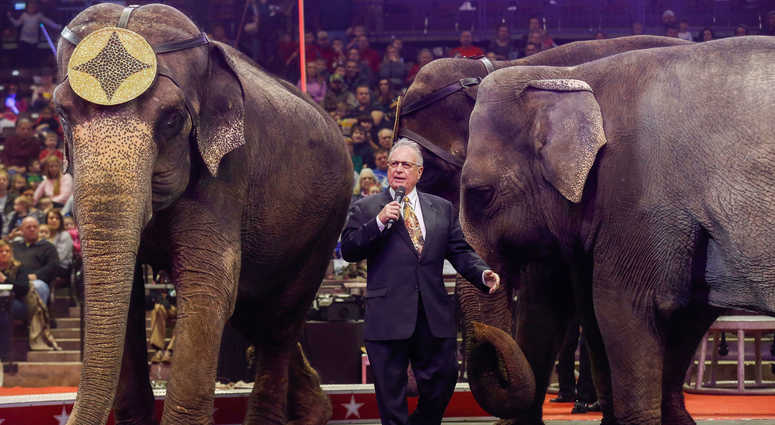 George Carden talks to the crowd about how the animals are treated before the start of the Carden Circus at JQH Arena on Friday, Feb. 2, 2018. (File photo) Circus animal elephant