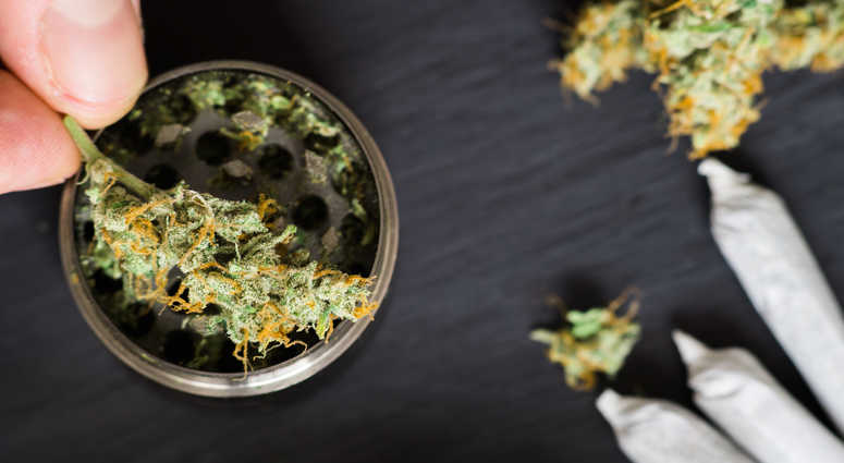 Marijuana