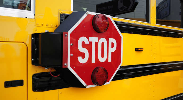 School bus stop sign. School bus stop sign.