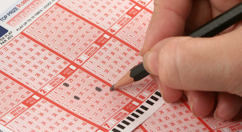 Picking lottery numbers. Lottery