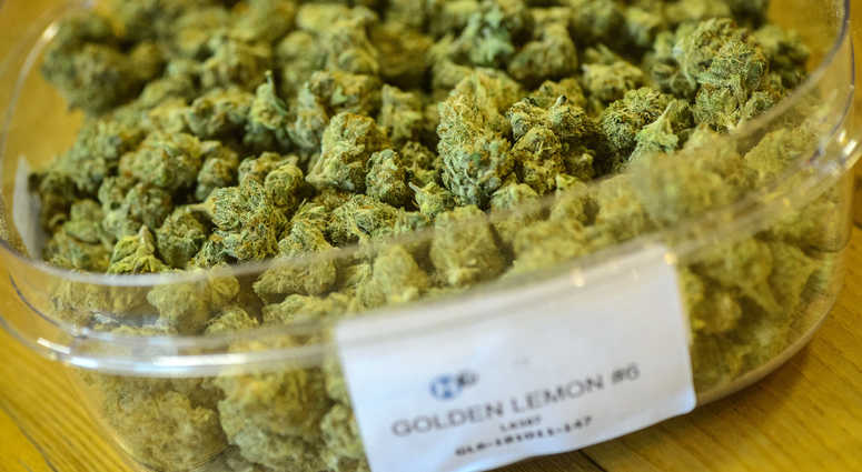 Marijuana Marijuana