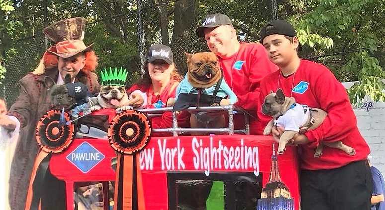 Tompkins Square Park Halloween Dog Parade 2017 (Photo: Summer Strand)