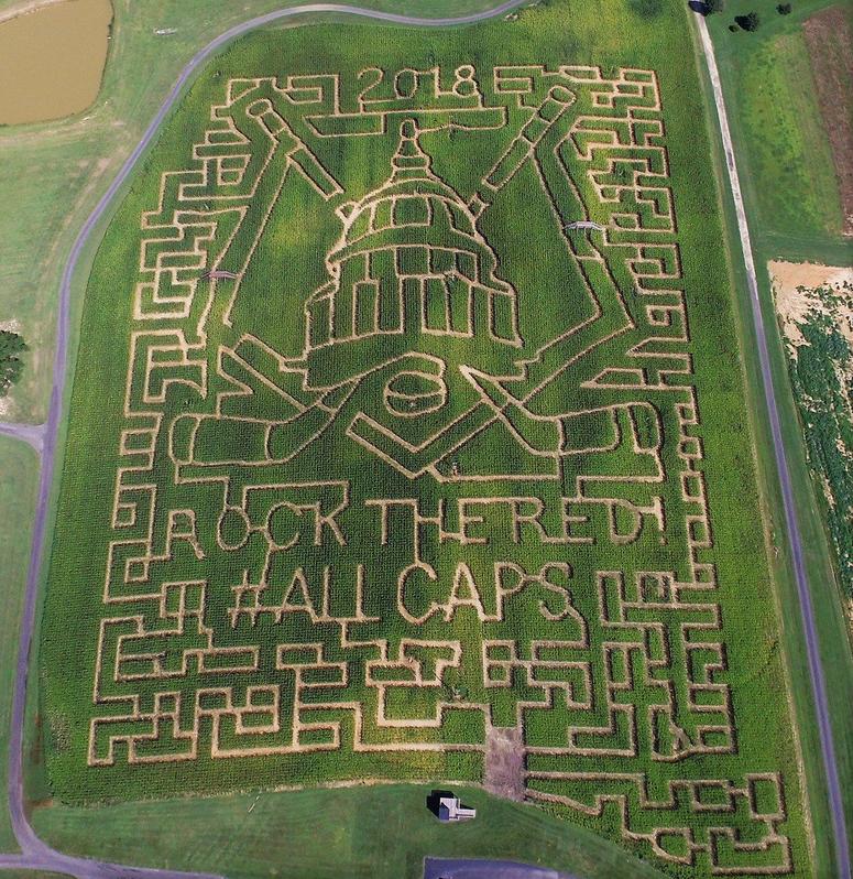 An aerial view of the Caps corn maze on Bowles Farm in Clements, Md. Bowles_Farms_Caps_Corn_Maze