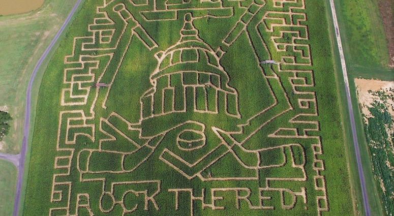 An aerial view of the Caps corn maze on Bowles Farm in Clements, Md. Bowles_Farms_Caps_Corn_Maze