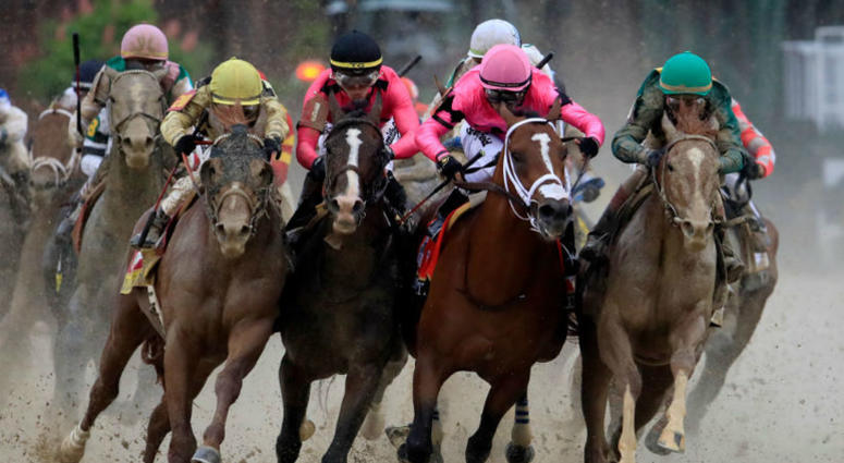 War of Will runs in the Kentucky Derby. Who will win the 144th running of the Preakness Stakes?
