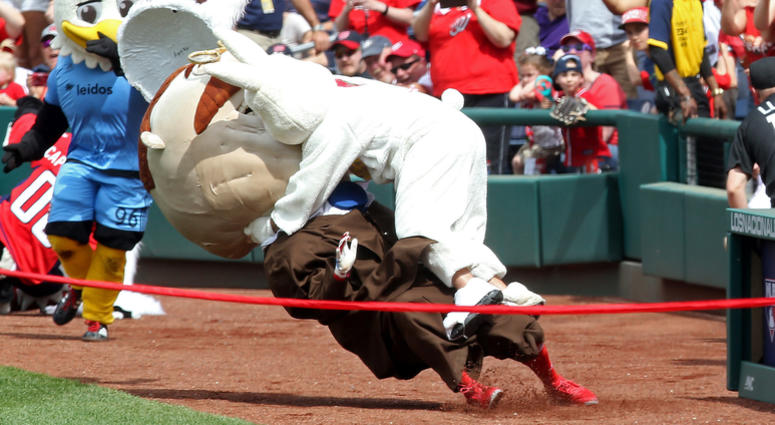 Washington Nationals racing presidents nats_racing_presidents_easter_bunny