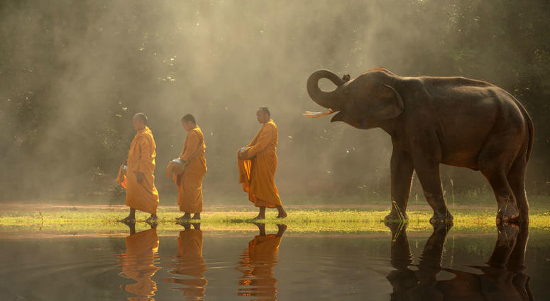 Jeff and his wife on their honeymoon in Thailand Thailand_Buddhist_monks_elephants