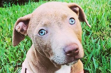 Our KISS Country Best Friend of The Week is WILLA! Our KISS Country Best Friend of The Week is WILLA!