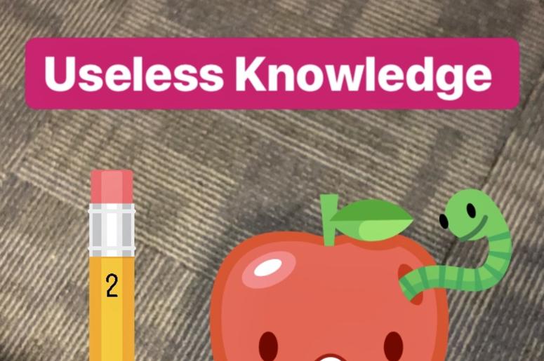 Useless Knowledge Useless Knowledge Question