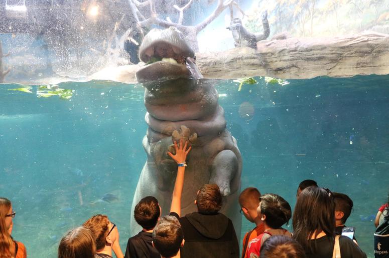Teachers Get Free Admission To Miami Seaquarium In October Teachers Get Free Admission To Miami Seaquarium In October