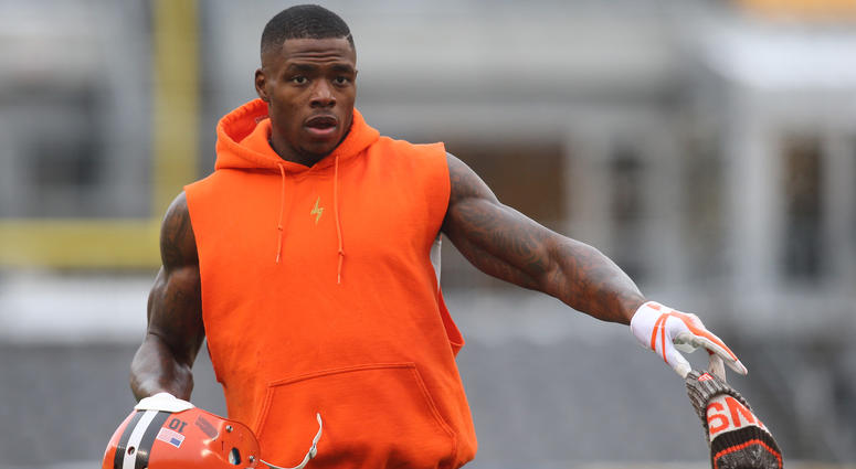 Browns receiver Josh Gordon Browns receiver Josh Gordon
