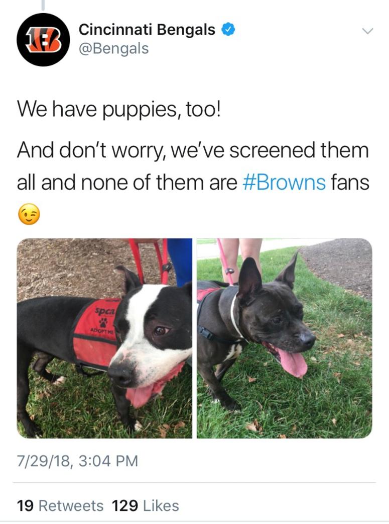 Cincinnati Bengals tweet about the Browns Cincinnati Bengals SPCA