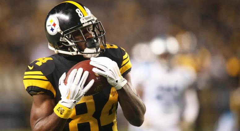 Pittsburgh Steelers wide receiver Antonio Brown (84) catches a fifty-three yard touchdown pass against the Carolina Panthers during the second quarter at Heinz Field. Pittsburgh Steelers wide receiver Antonio Brown (84) catches a fifty-three yard touchdown pass against the Carolina Panthers during the second quarter at Heinz Field.