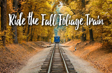 Foliage train