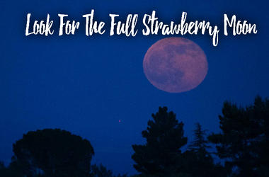 Strawberry Moon