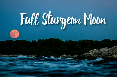 Sturgeon Moon