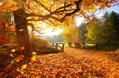 Fall