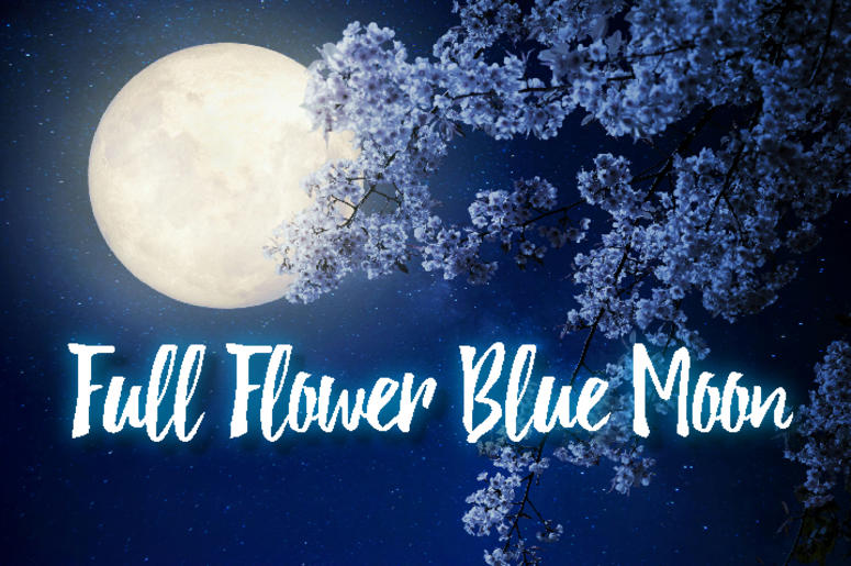 Full Flower Blue Moon