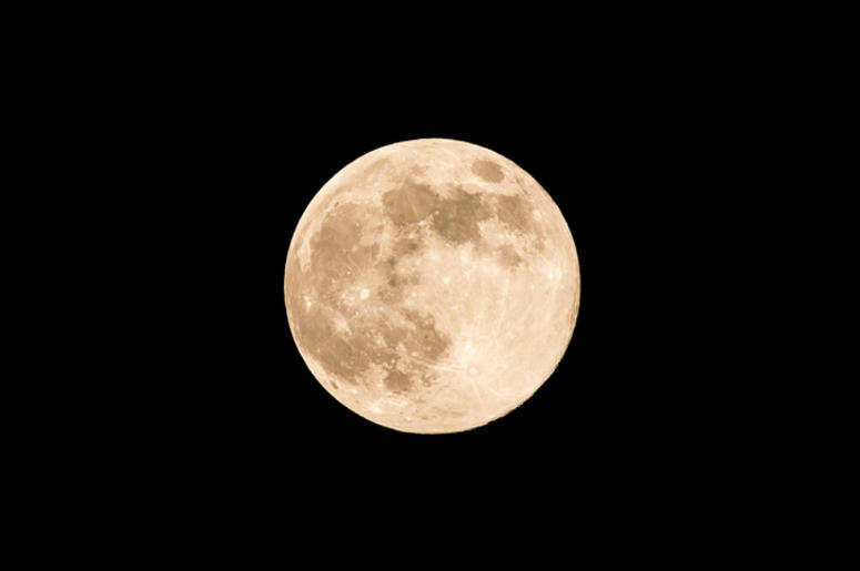 Moon Moon