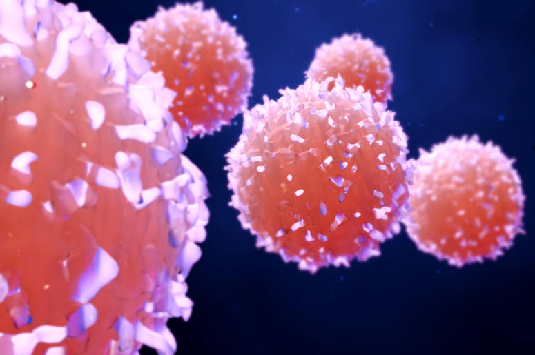 3D Illustration of Cancer Cells known as Lymphocytes Cancer_Miami_Health_Insurance