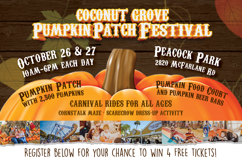 Pumpkin Patch Pumpkin Patch