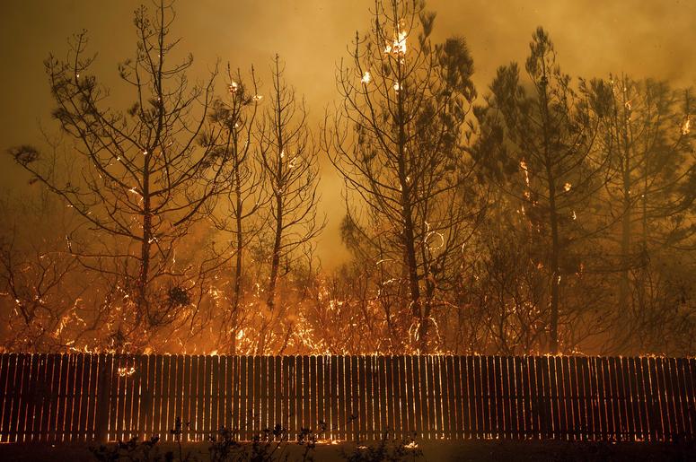 Las llamas llegan a lo alto de los árboles en Paradise, California, el 8 de noviembre de 2018. Un nuevo informe federal advierte que ese tipo de desastres climáticos extremos están empeorando en Estados Unidos. Las llamas llegan a lo alto de los árboles en Paradise, California, el 8 de noviembre de 2018. Un nuevo informe federal advierte que ese tipo de desastres climáticos extremos están empeorando en Estados Unidos.