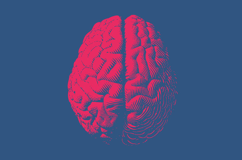 Monochrome drawing brain vintage style Monochrome drawing brain vintage style