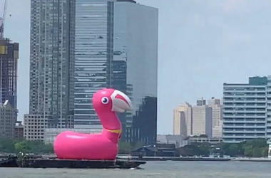 Inflatable flamingo Inflatable flamingo