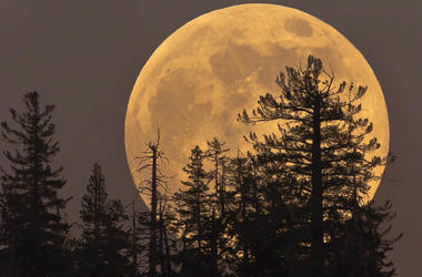 Full moon Full moon