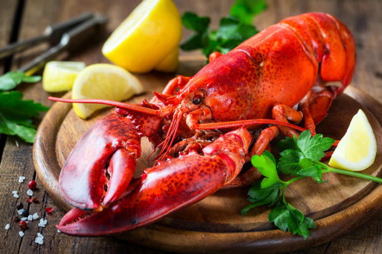 lobster dinner lobster dinner