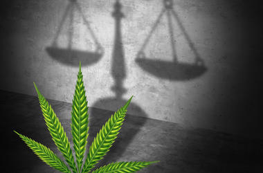 marijuana legal marijuana legal