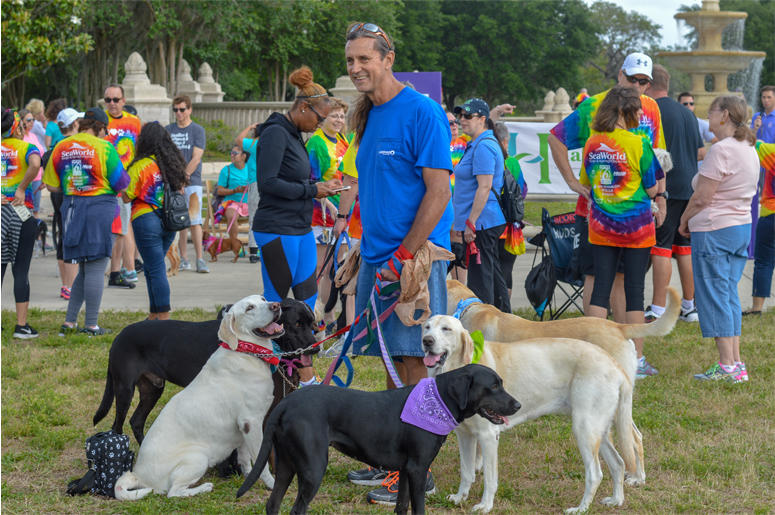 Paws for Peace Walk Paws for Peace Walk