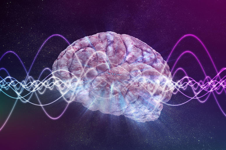 brain waves brain waves