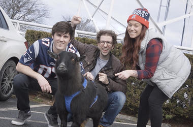 The TJ Show Goat The TJ Show Goat