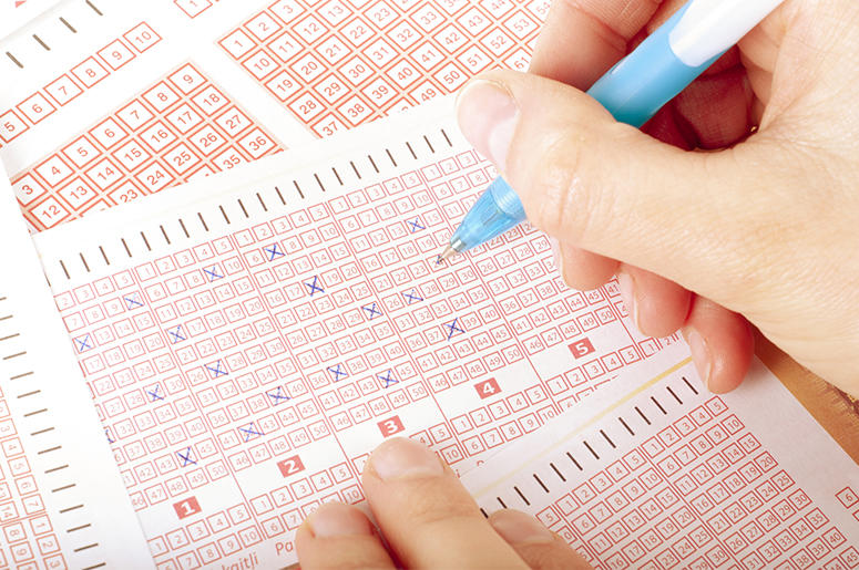 Lottery Ticket Lottery Ticket