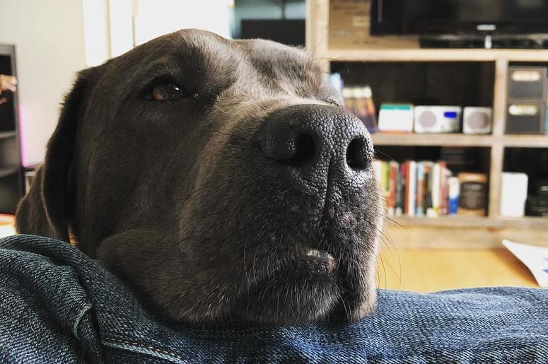 Luna Luna