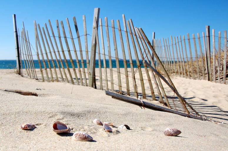 Cape Cod Cape Cod