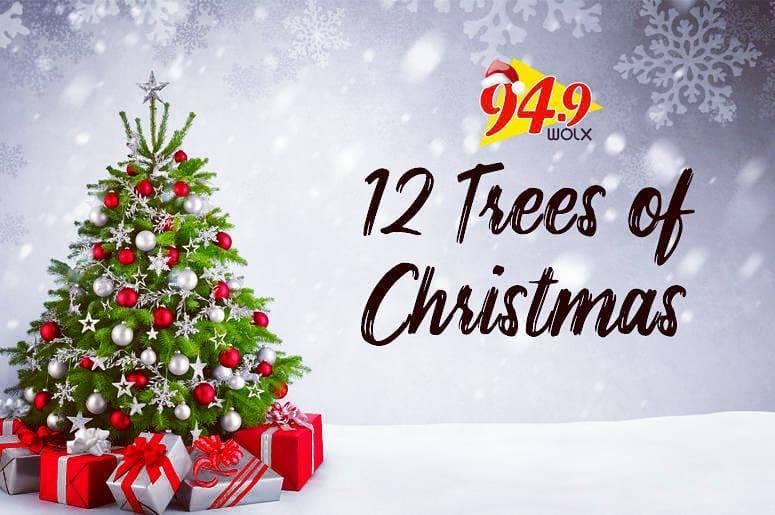 12 Trees of Christmas: Hear Why Barb Hoffhein Nominated Her Sister-in-law, Theresa Cregger, to Receive some Holiday Cheer from Jim & Teri 12 Trees of Christmas: Hear Why Barb Hoffhein Nominated Her Sister-in-law, Theresa Cregger, to Receive some Holiday Cheer from Jim & Teri