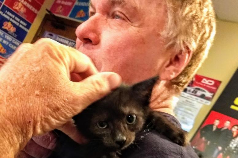 LISTEN: Are "Cat-chelors" on the rise in this area? Teri Wonders if Jim is Becoming One LISTEN: Are "Cat-chelors" on the rise in this area? Teri Wonders if Jim is Becoming One
