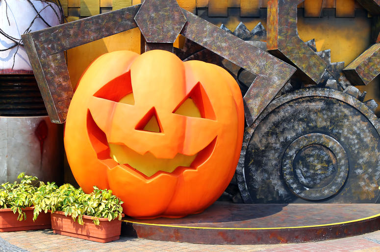 Pumpkin Pumpkin