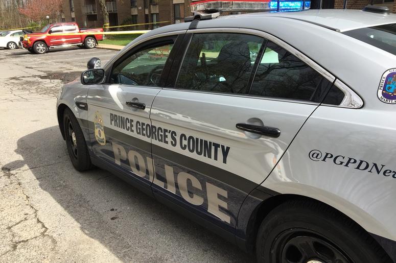 PGPD Car PGPD Car