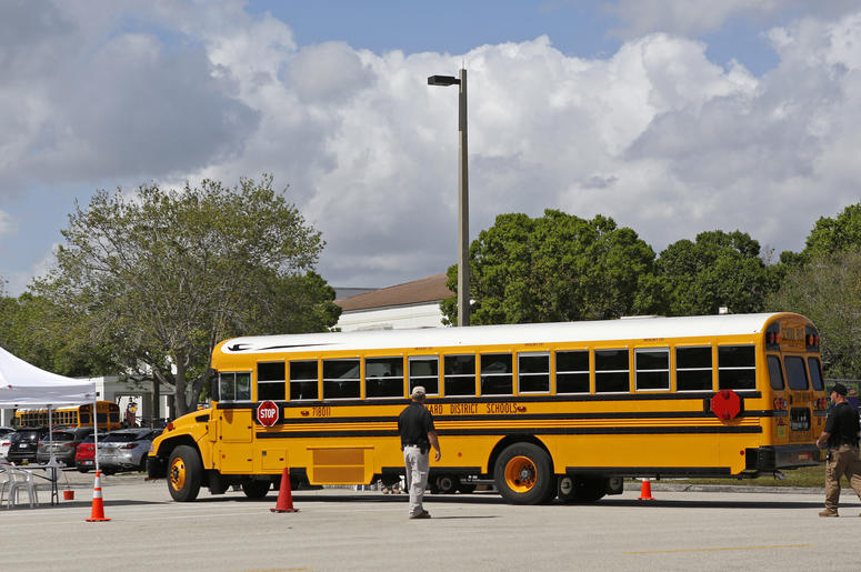 School Bus School Bus