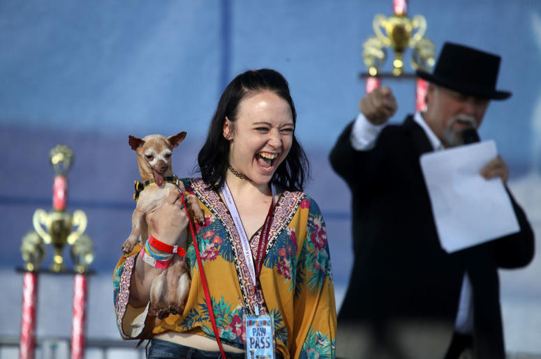 PETALUMA, CALIFORNIA - JUNE 21: Molly Horgan holds her dog Tostito during the start of the World's Ugliest Dog contest at the Marin-Sonoma County Fair on June 21, 2019 in Petaluma, California. A dog named Scamp the Tramp from Santa Rosa, California won th PETALUMA, CALIFORNIA - JUNE 21: Molly Horgan holds her dog Tostito during the start of the World's Ugliest Dog contest at the Marin-Sonoma County Fair on June 21, 2019 in Petaluma, California. A dog named Scamp the Tramp from Santa Rosa, California won th