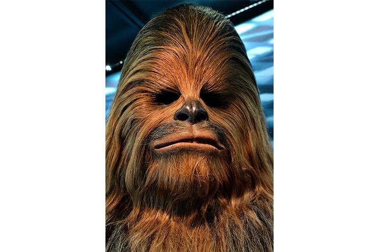 COLOGNE, GERMANY - MAY 20: The costume worn by Peter Mayhew as Chewbacca the Wookie is seen during the 'Star Wars Identities' Exhibtion Press Preview & VIP Opening at Odysseum on May 20, 2015 in Cologne, Germany. (Photo by Sascha Steinbach/Getty Images) COLOGNE, GERMANY - MAY 20: The costume worn by Peter Mayhew as Chewbacca the Wookie is seen during the 'Star Wars Identities' Exhibtion Press Preview & VIP Opening at Odysseum on May 20, 2015 in Cologne, Germany. (Photo by Sascha Steinbach/Getty Images)