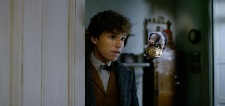 EDDIE REDMAYNE as Newt Scamander and a Baby Niffler in Warner Bros. Pictures' fantasy adventure "FANTASTIC BEASTS: THE CRIMES OF GRINDELWALD,” a Warner Bros. Pictures release. EDDIE REDMAYNE as Newt Scamander and a Baby Niffler in Warner Bros. Pictures' fantasy adventure "FANTASTIC BEASTS: THE CRIMES OF GRINDELWALD,” a Warner Bros. Pictures release.