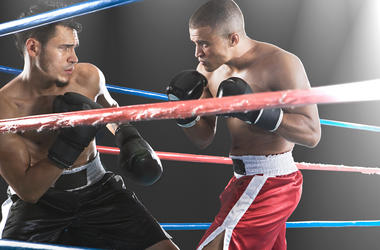 Two Boxers In The Ring boxers
