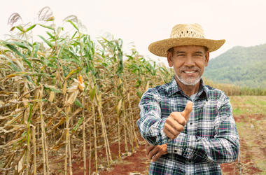 Farmer Thumbs Up farmer giving thumbs up