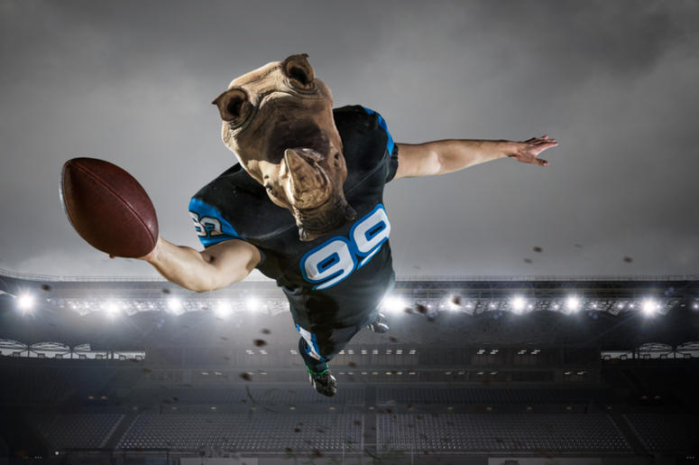Mascot Mascot